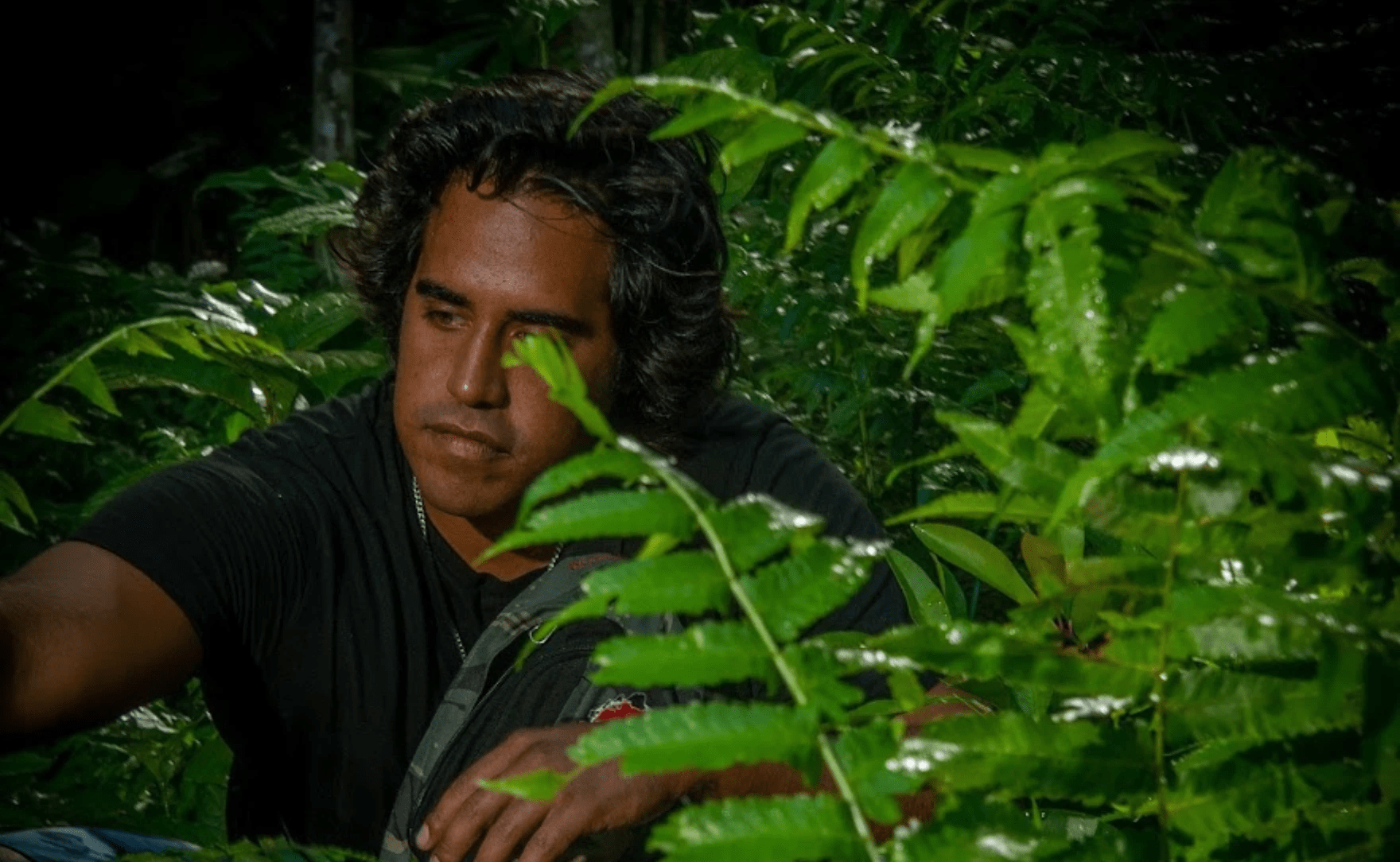Yuda Abitbol foraging wild plants in Hawaii