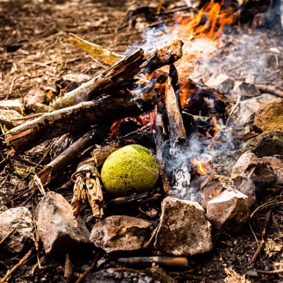 Full-day foraging and cooking experience in Oahu rainforest