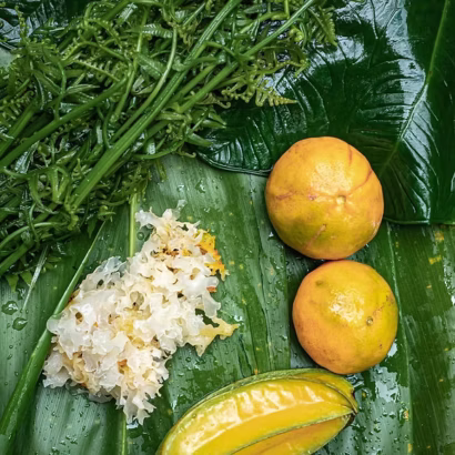 Guided rainforest foraging walk on Oahu Hawaii